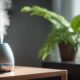 top humidifiers for home