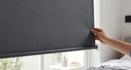 10 Best Best Premium Blackout Shade For Bedroom In 2026