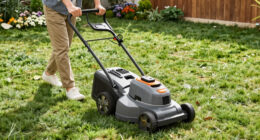10 Best Robot Lawn Mower for Easy Maintenance in 2026