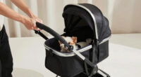 11 Best Luxury Pet Stroller in 2026