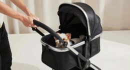 11 Best Luxury Pet Stroller in 2026