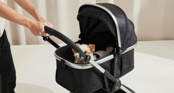 11 Best Luxury Pet Stroller in 2026