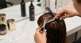 12 Best Best Premium Styling Tool Set in 2026