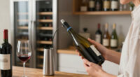 12 Best Wine Preservation System for Enthusiasts in 2026
