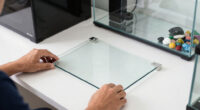 8 Best Luxury Aquarium Starter Kit in 2026